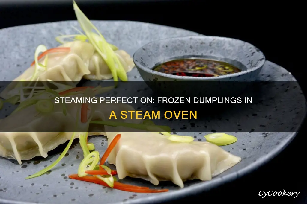 how to cook frozen dumplings in steam oven