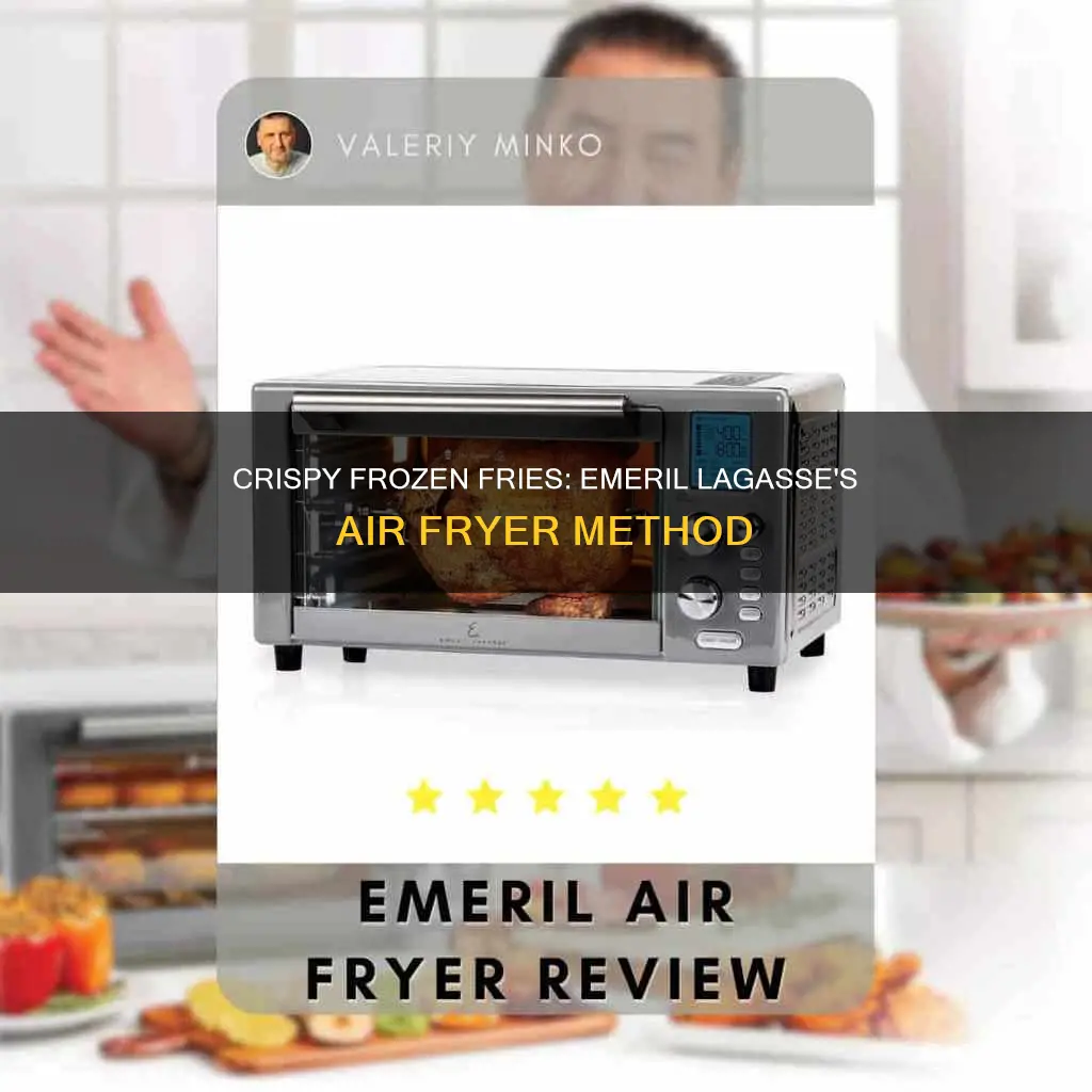 how to cook frozen fries in emeril lagasse air fryer