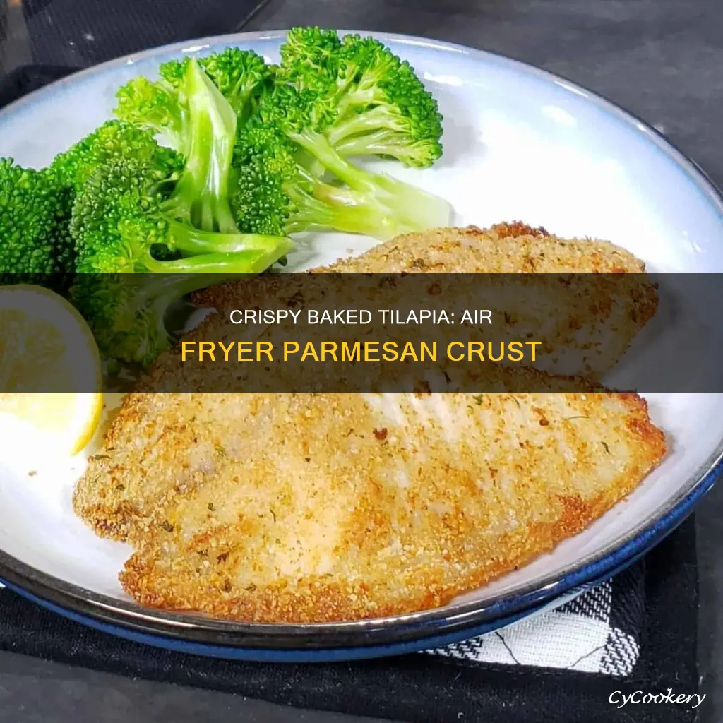 how to cook frozen parmesan crusted tilapia in air fryer