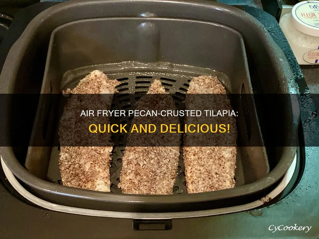 how to cook frozen pecan crusted tilapia in air fryer