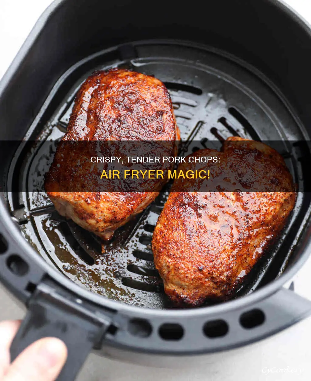 how to cook frozen pork chop in air fryer