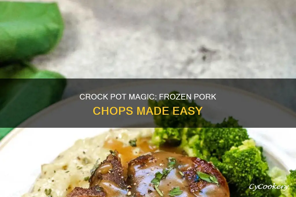 how to cook frozen pork chops in a crock pot