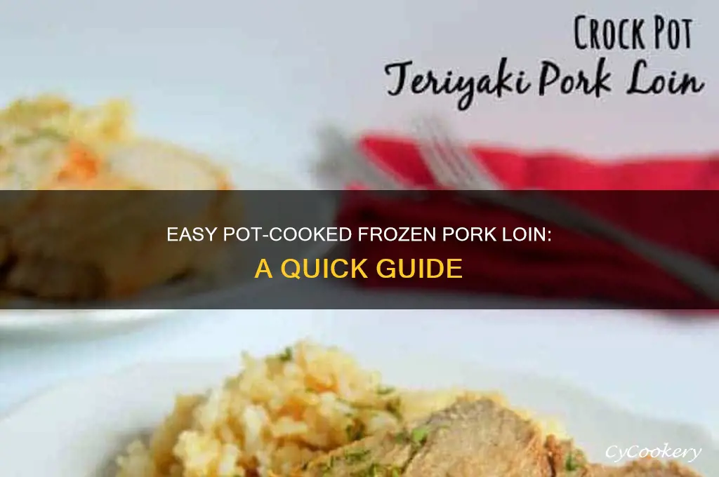 how to cook frozen pork loin in pot
