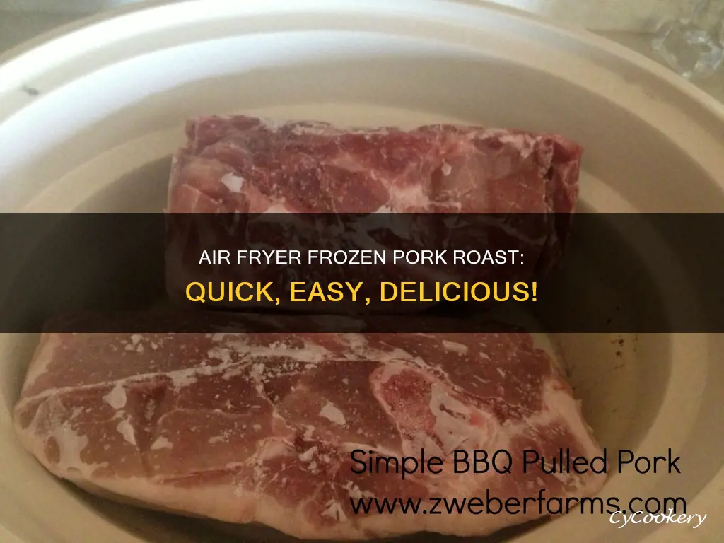 how to cook frozen pork roast in air fryer