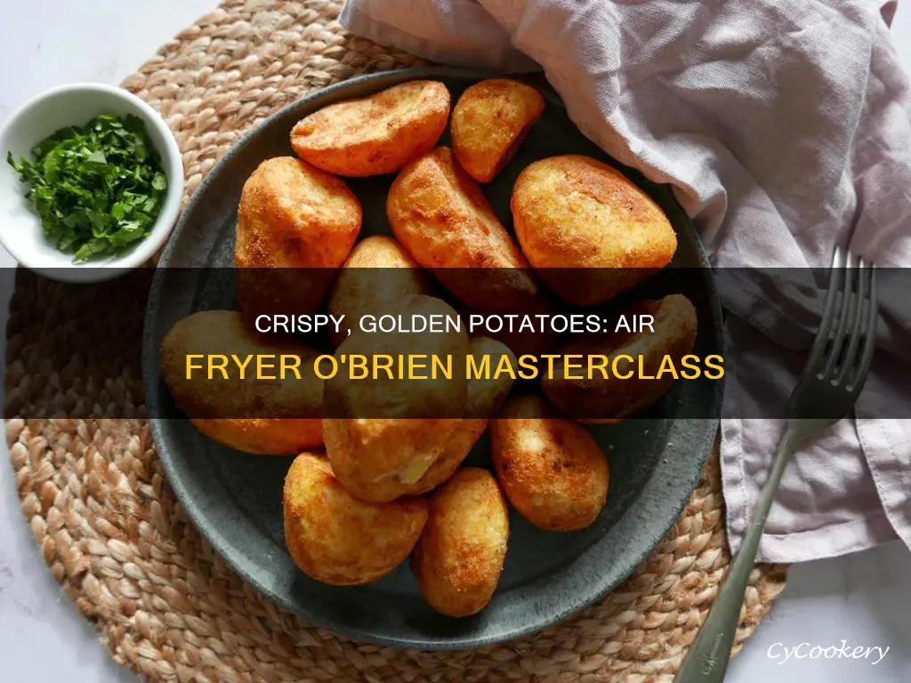 how to cook frozen potatoes o brien in air fryer