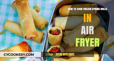 Crispy Spring Rolls: Air Fryer Magic!