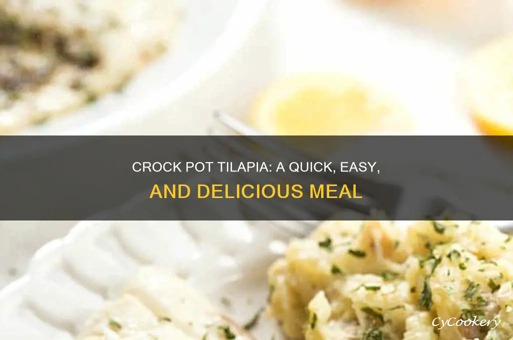 how to cook frozen tilapia in crock pot