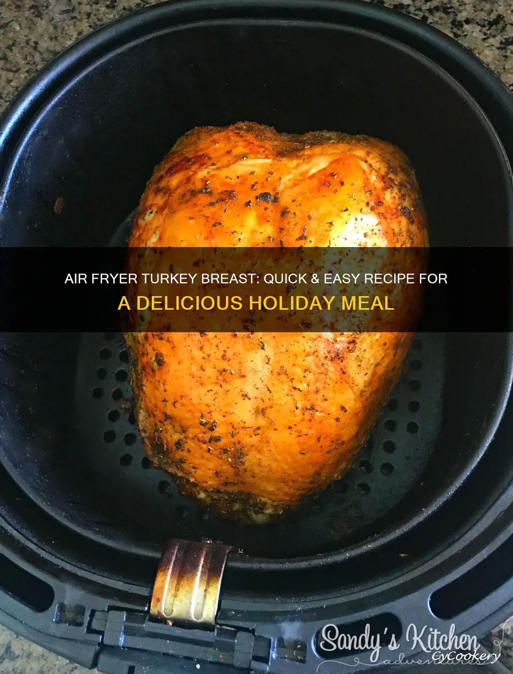 how to cook frozen turkey breast in air fryer