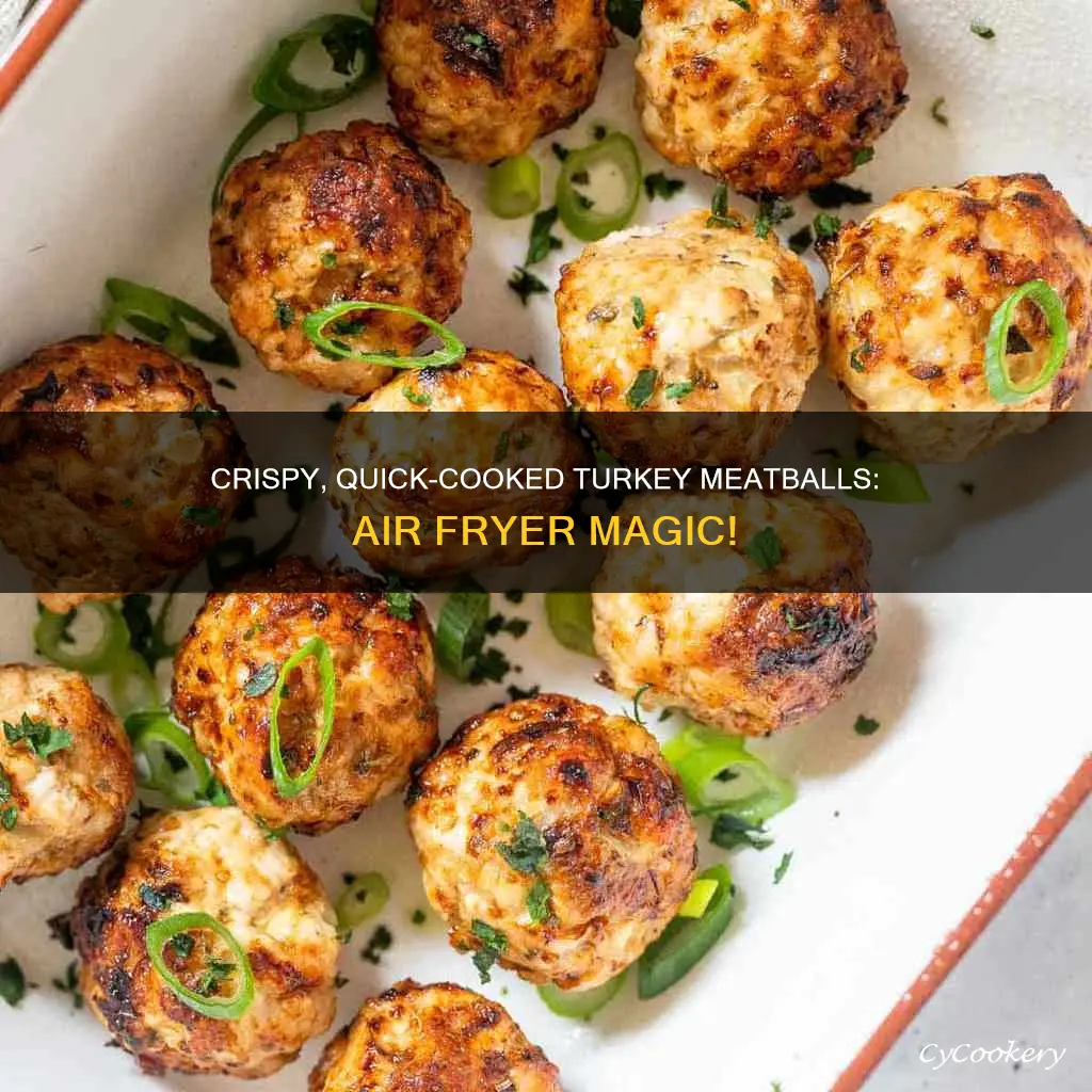 how to cook frozen turkey meatballs in air fryer