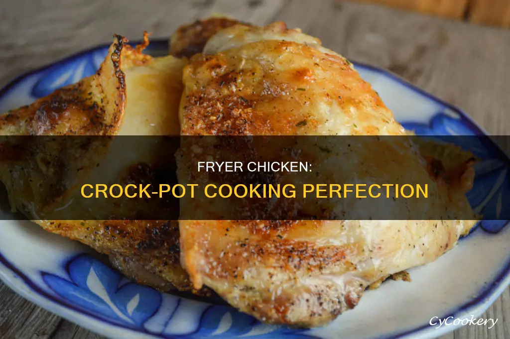 how to cook fryer chicken in crock pot