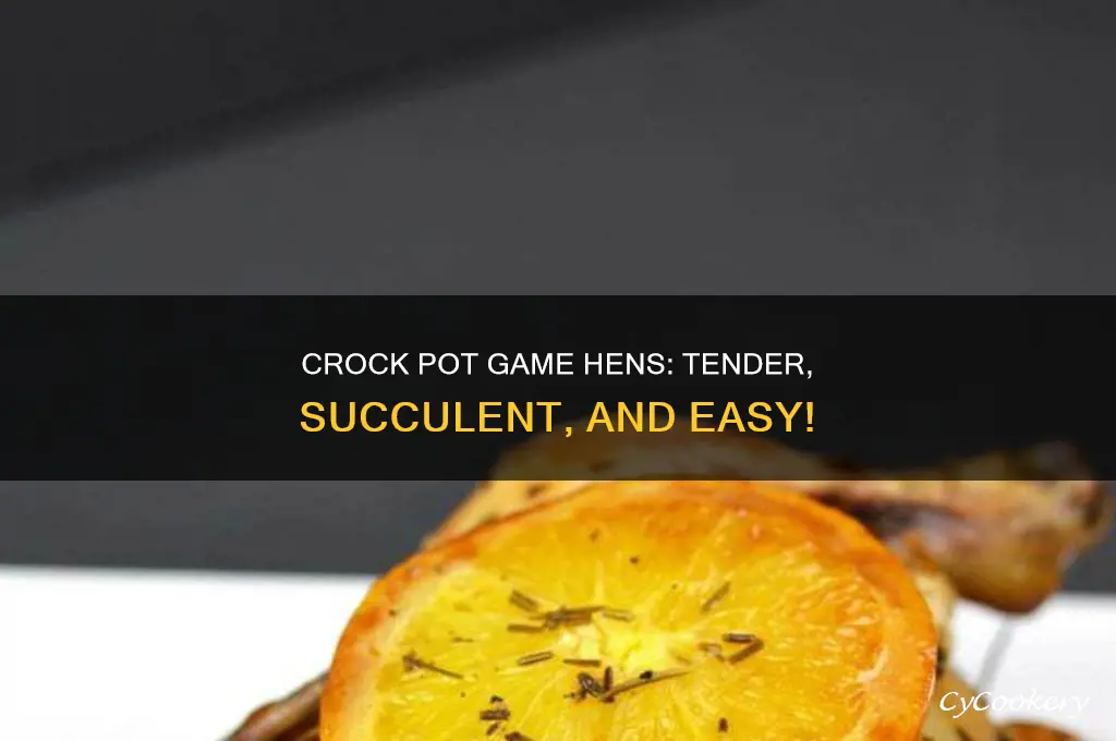 how to cook game hens in a crock pot