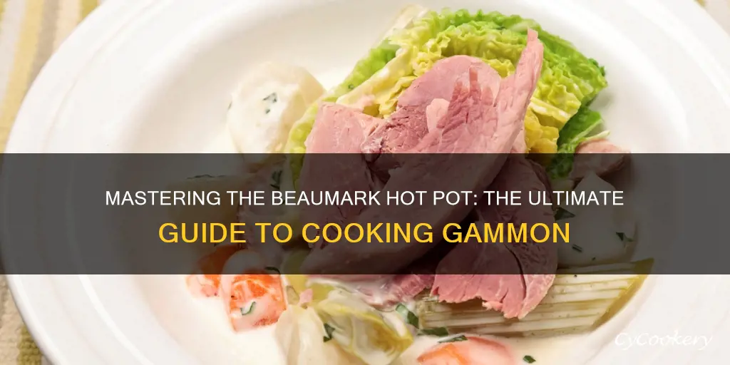 how to cook gammon in the beaumark hot pot