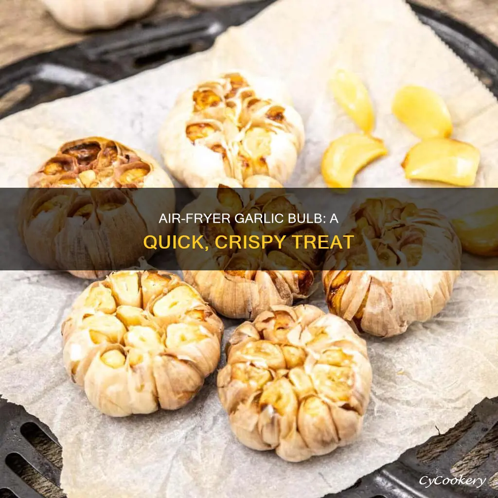 how to cook garlic bulb in air fryer