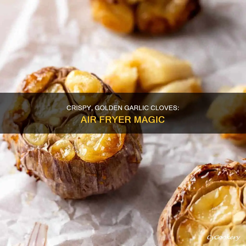 how to cook garlic cloves in air fryer