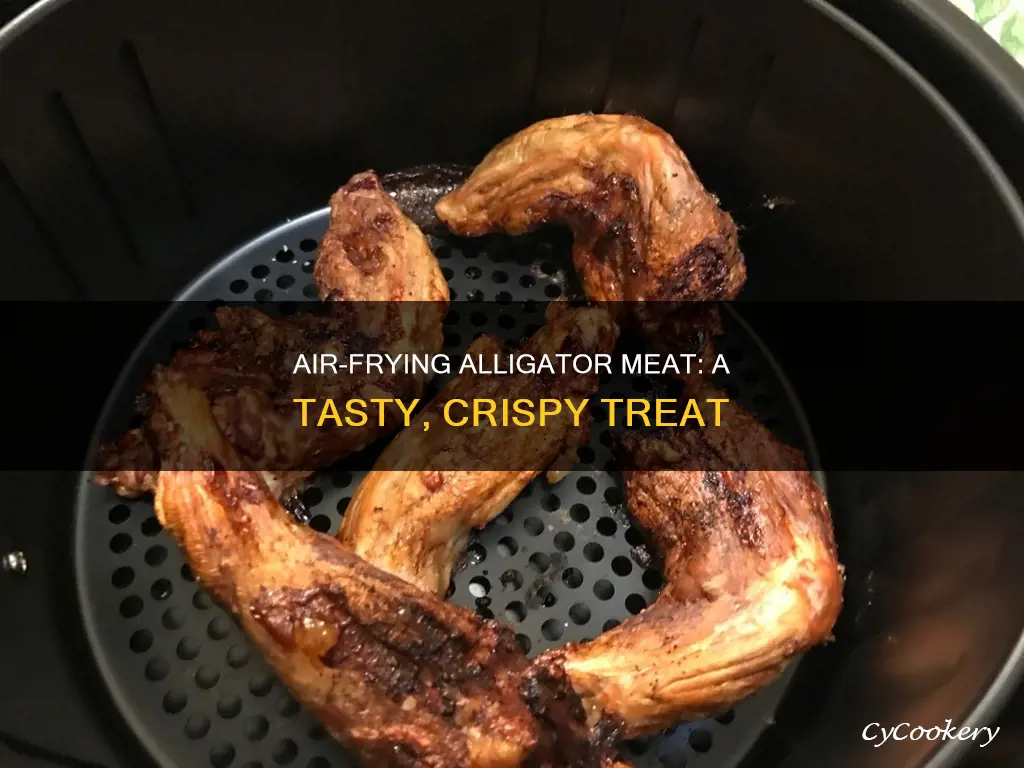 how to cook gator meat in air fryer