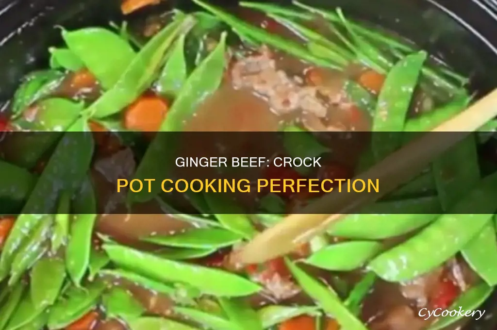 how to cook ginger beef in a crock pot