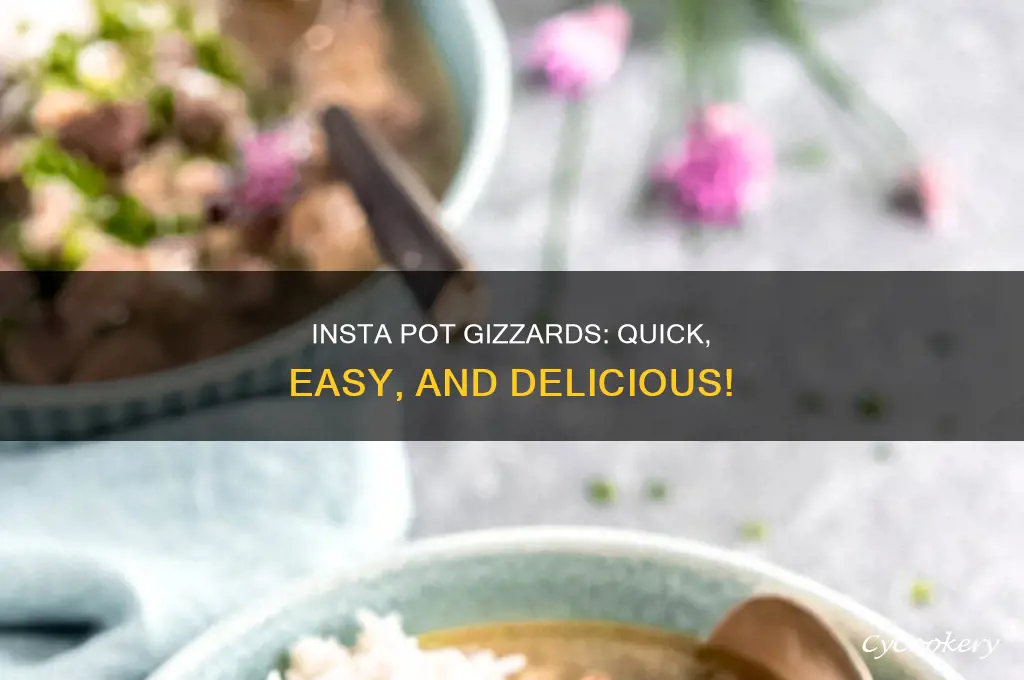 how to cook gizzards in insta pot