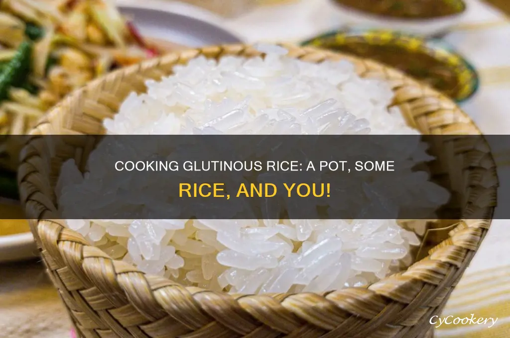how to cook glutinous rice in a pot