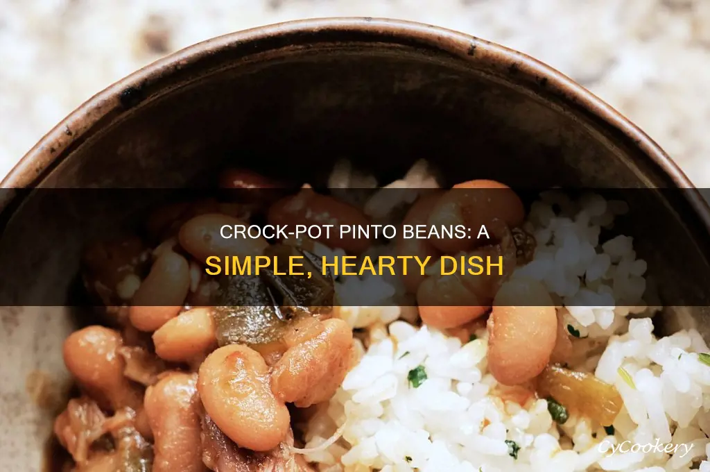 how to cook good pinto beans in crock pot
