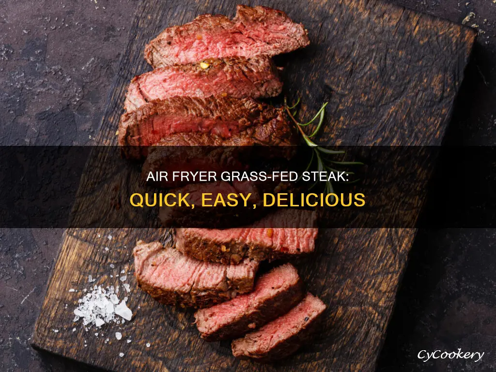 how to cook grass fed steak in air fryer