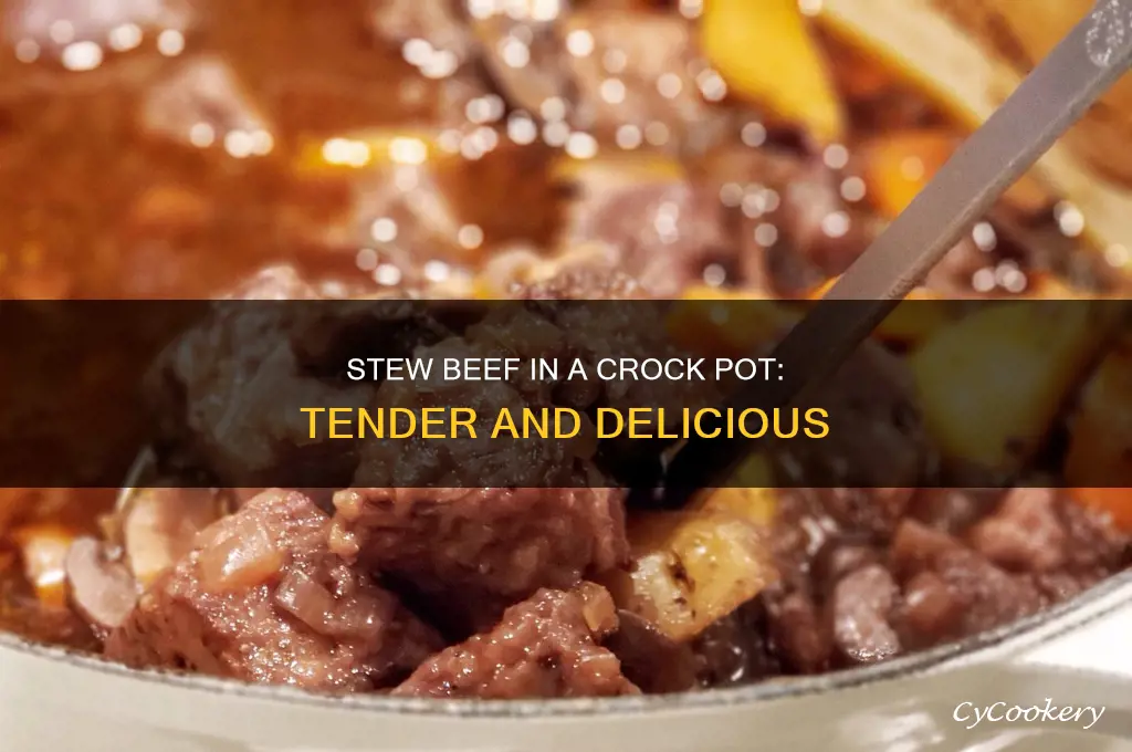 how to cook great stew beef in crock pot