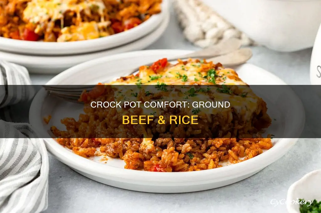 how to cook ground beef and rice in crock pot