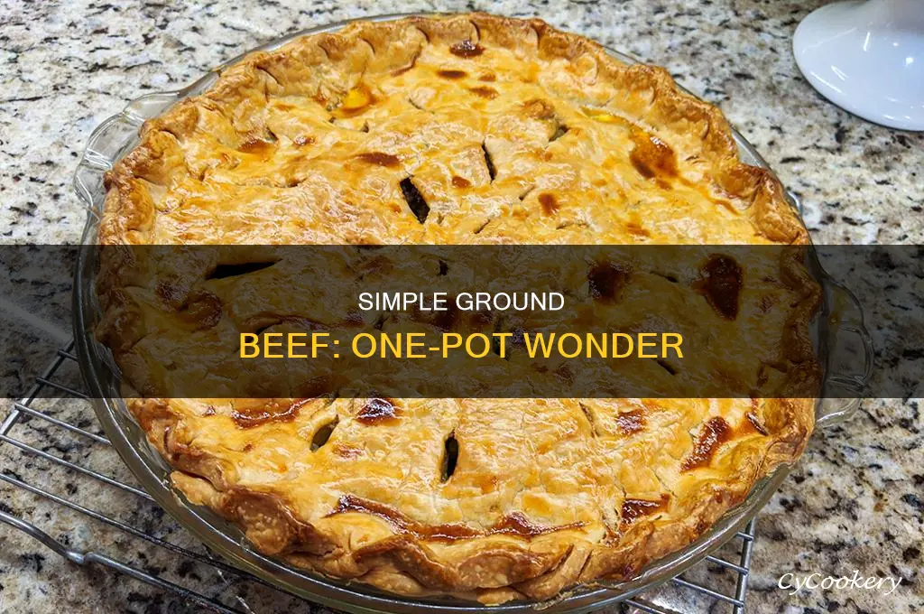 how to cook ground beef in a pot