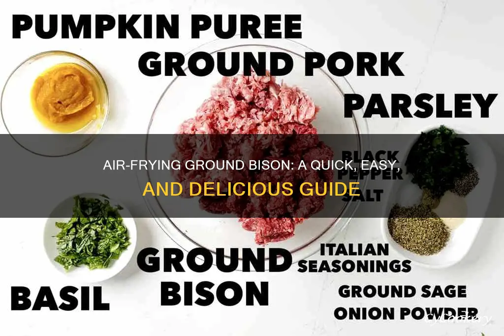 how to cook ground bison in air fryer