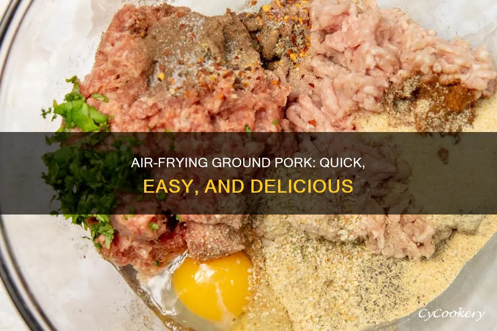 how to cook ground pork in air fryer