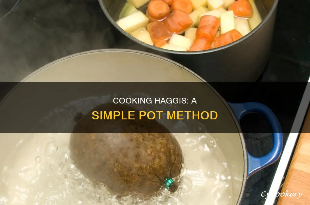 how to cook haggis in a pot