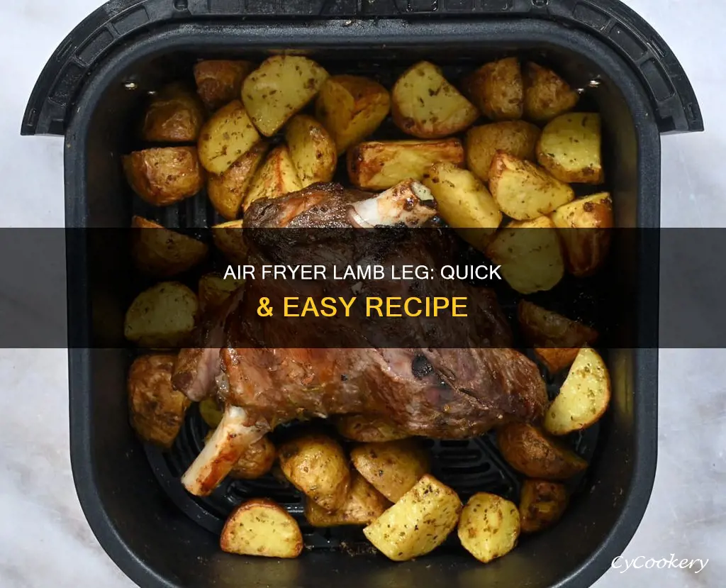 how to cook half leg lamb in air fryer