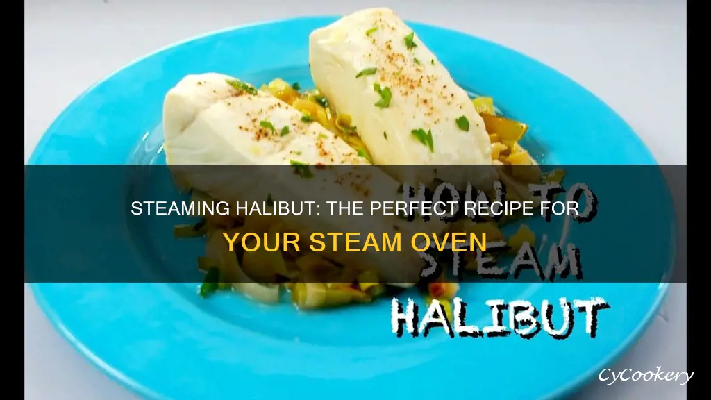 how to cook halibut in a steam oven