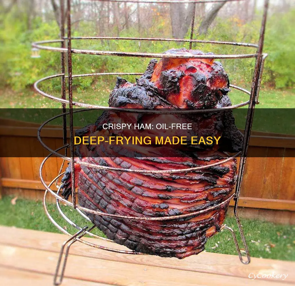 how to cook ham in oil less deep fryer