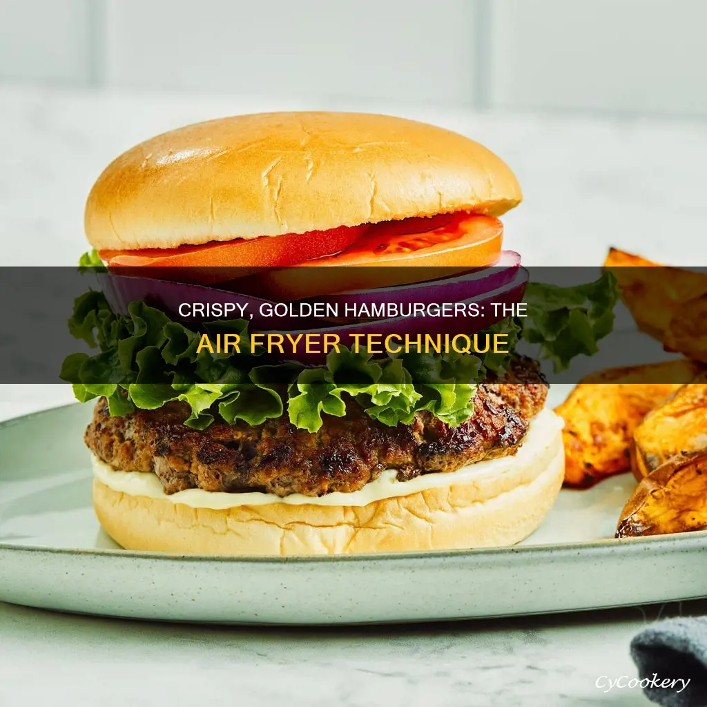 how to cook hamburger in cosori air fryer