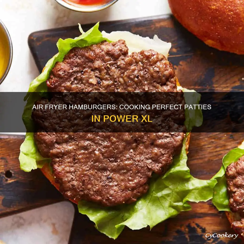 how to cook hamburger patties in power xl air fryer