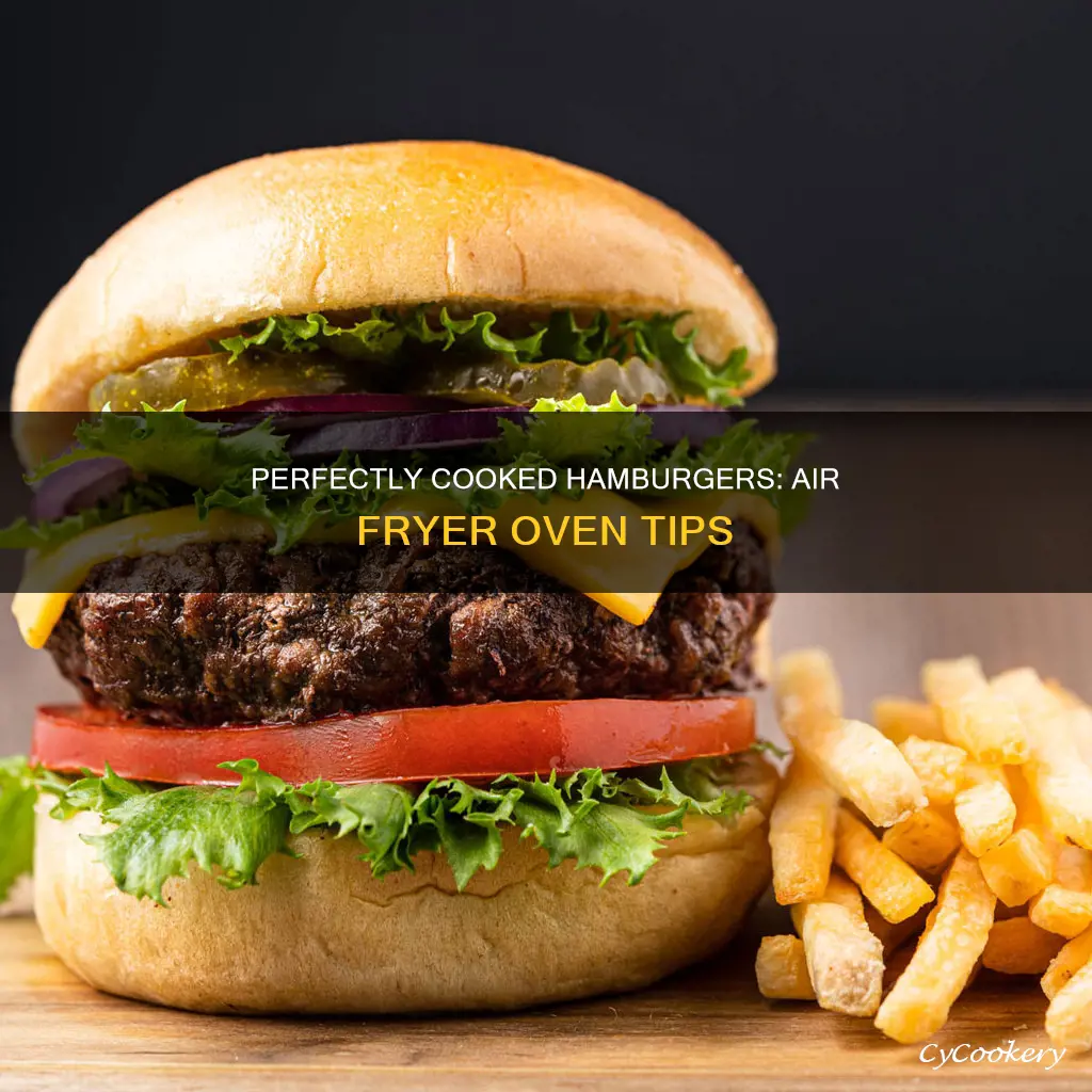 how to cook hamburgers in a power air fryer oven