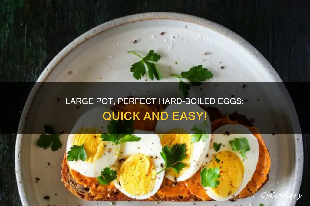 how to cook hard boil eggs in a large pot