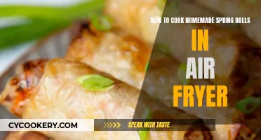 Crispy Spring Rolls: Air Fryer Homemade Delight