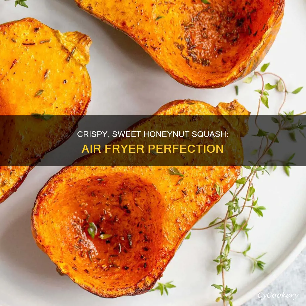 how to cook honeynut squash in air fryer