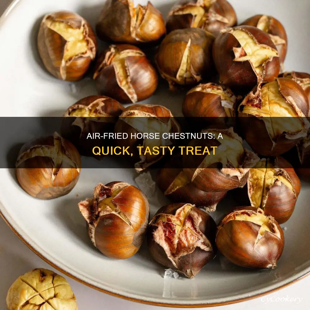 how to cook horse chestnuts in air fryer