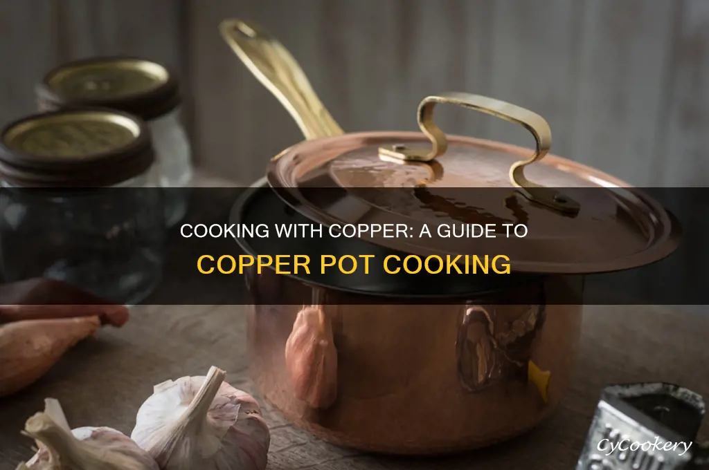 how to cook in a copper pot