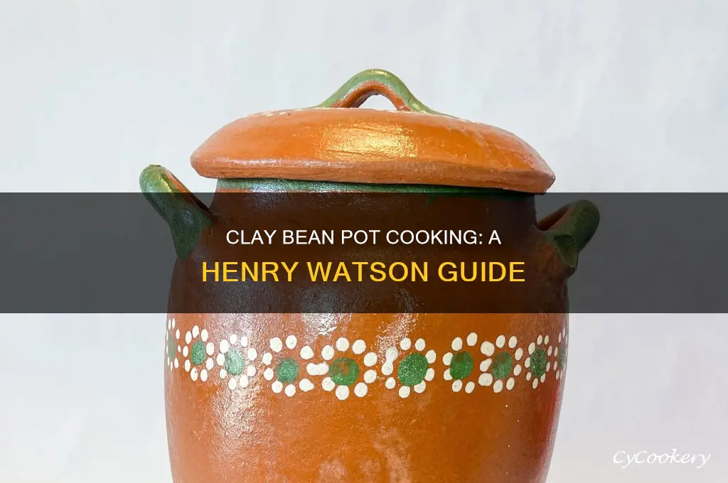 how to cook in a henry watson clay bean pot