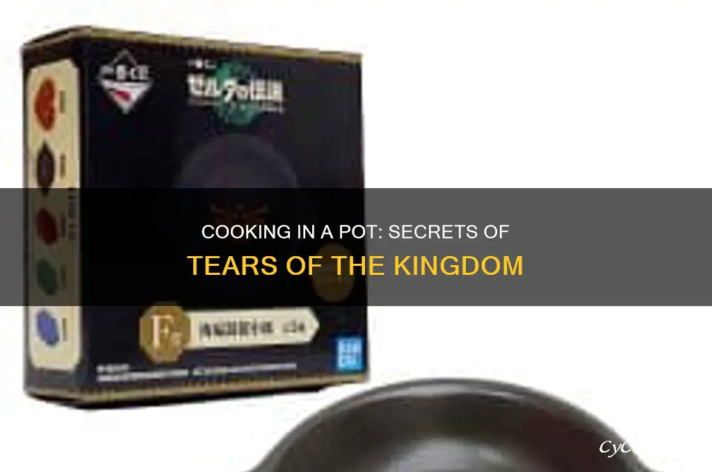 how to cook in a pot tears of the kingdom