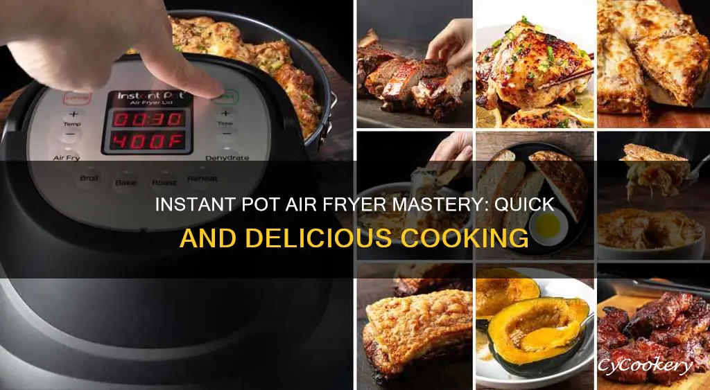 how to cook in an instant pot air fryer