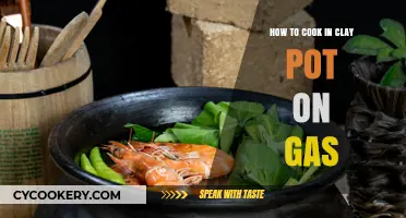 Clay Pot Cooking: Gas Stove Techniques