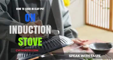 Clay Pot Cooking on Induction: A Beginner's Guide