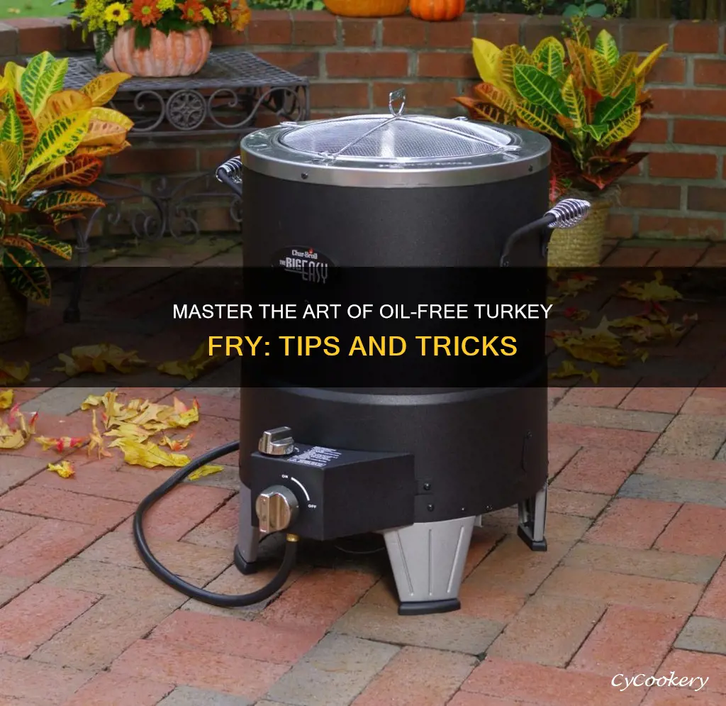 how to cook in oil less turkey fryer