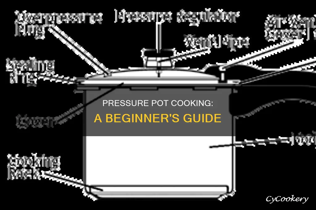 how to cook in pressure pot