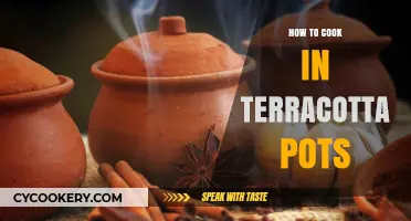 Terracotta Pot Cooking: A Beginner's Guide