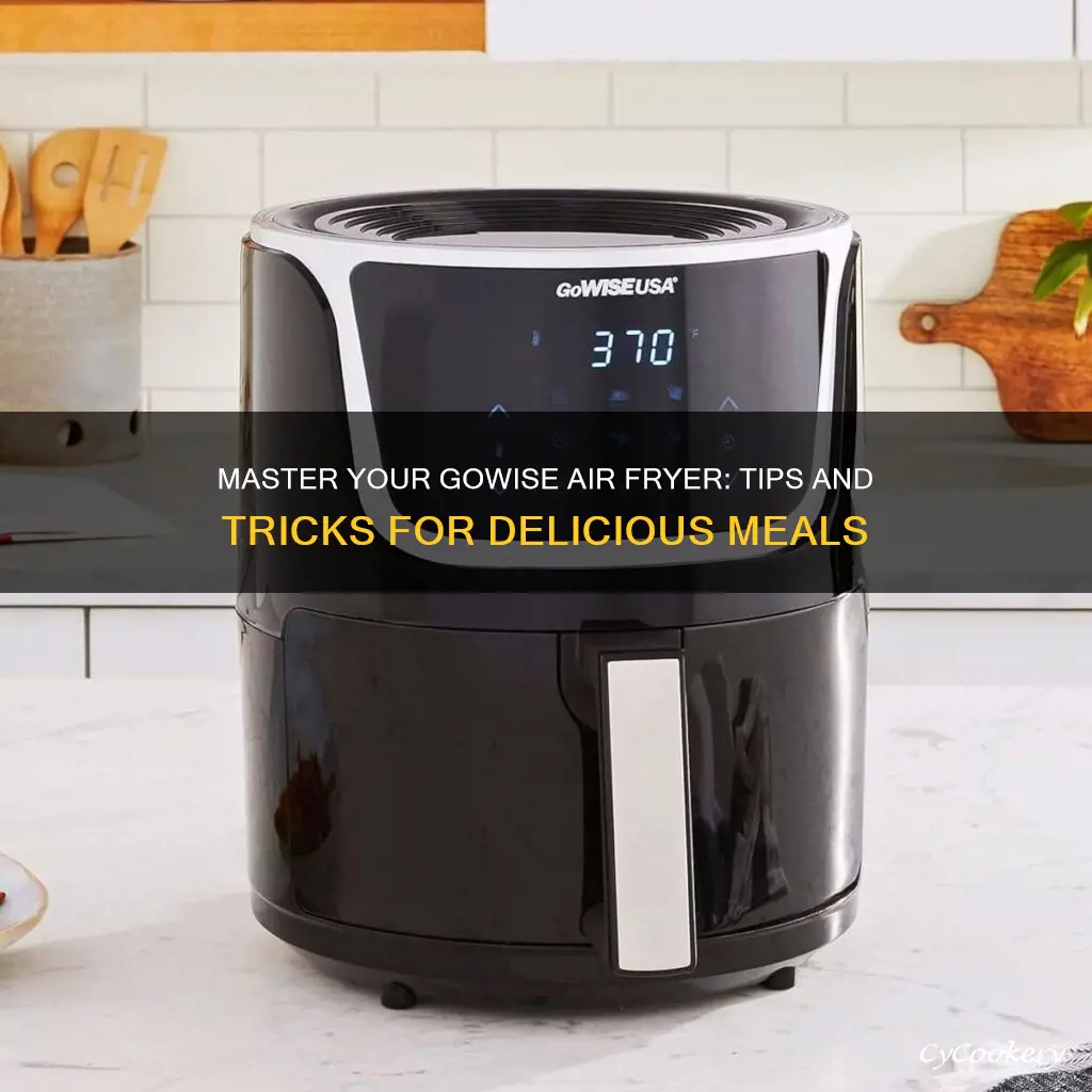 how to cook in the gowise air fryer